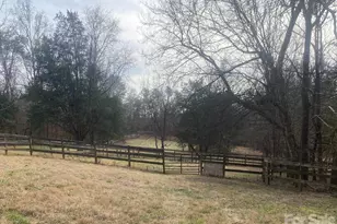 3205 Collinsville Rd, Columbus, NC 28722 - Photo 35