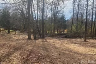 3205 Collinsville Rd, Columbus, NC 28722 - Photo 37