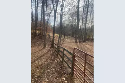 3205 Collinsville Road, Columbus, NC 28722 - Photo 31