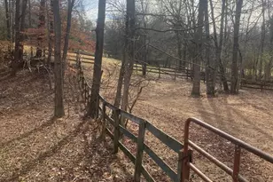3205 Collinsville Rd, Columbus, NC 28722 - Photo 31
