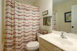 4006 Hickory View Dr, Indian Land, SC 29707 - Photo 39