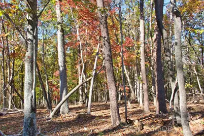 0 Wilderness Ridge #15, Rutherfordton, NC 28139 - Photo 3