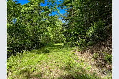 948 Cove Creek Lane, Mars Hill, NC 28754 - Photo 11