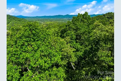 948 Cove Creek Lane, Mars Hill, NC 28754 - Photo 23