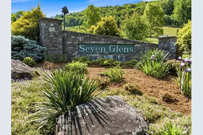 948 Cove Creek Lane, Mars Hill, NC 28754 - Photo 1