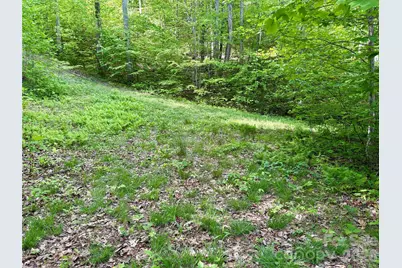 0 Carpenter Road, Bryson City, NC 28713 - Photo 17