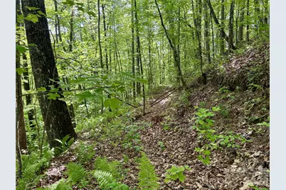 0 Carpenter Road, Bryson City, NC 28713 - Photo 19