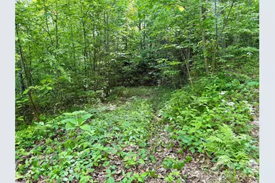 0 Carpenter Road, Bryson City, NC 28713 - Photo 11