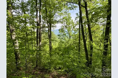 0 Carpenter Road, Bryson City, NC 28713 - Photo 1