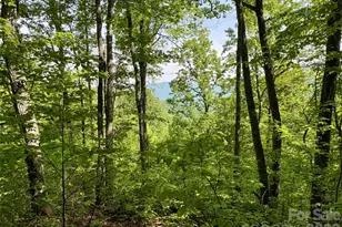0 Carpenter Rd, Bryson City, NC 28713 - Photo 1