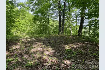 0 Carpenter Road, Bryson City, NC 28713 - Photo 13
