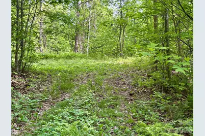 0 Carpenter Road, Bryson City, NC 28713 - Photo 27