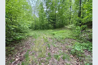 0 Carpenter Road, Bryson City, NC 28713 - Photo 29