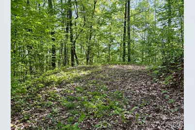 0 Carpenter Road, Bryson City, NC 28713 - Photo 23