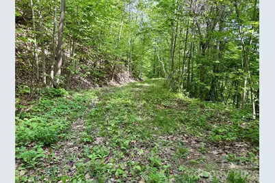 0 Carpenter Road, Bryson City, NC 28713 - Photo 25