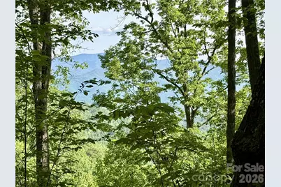 0 Carpenter Road, Bryson City, NC 28713 - Photo 3