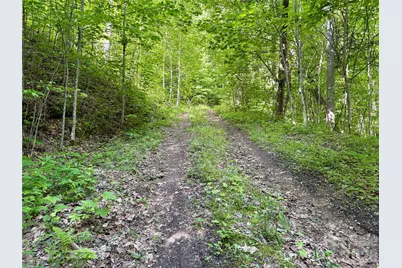 0 Carpenter Road, Bryson City, NC 28713 - Photo 5