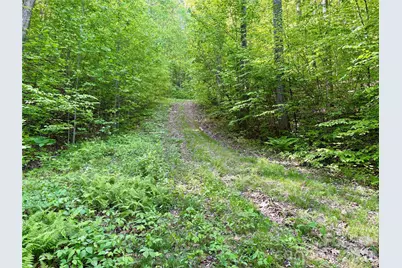 0 Carpenter Road, Bryson City, NC 28713 - Photo 15