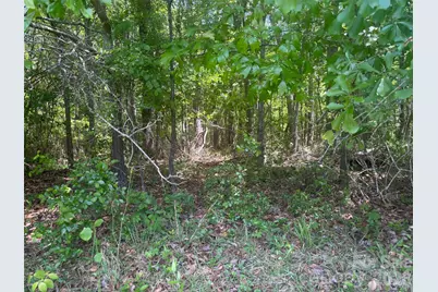 2206 S Highway 1 Highway S, Elgin, SC 29045 - Photo 3
