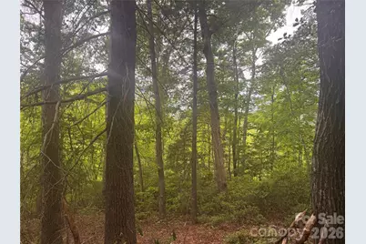 124 Parker Road, Casar, NC 28020 - Photo 11