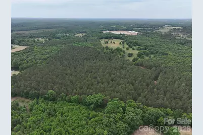 Tbd Hasty Road N, Peachland, NC 28133 - Photo 7