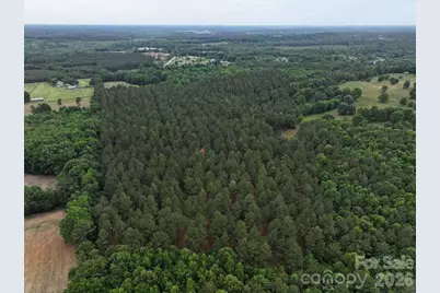 Tbd Hasty Road N, Peachland, NC 28133 - Photo 3