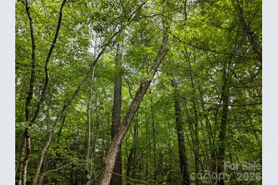 0 Romey Campbell Road, Ellenboro, NC 28040 - Photo 21