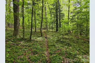 0 Romey Campbell Road, Ellenboro, NC 28040 - Photo 25
