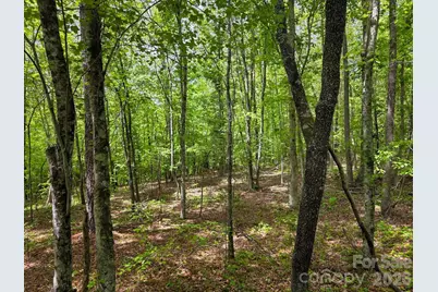 0 Romey Campbell Road, Ellenboro, NC 28040 - Photo 15