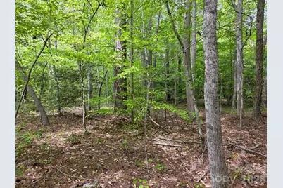 0 Romey Campbell Road, Ellenboro, NC 28040 - Photo 19