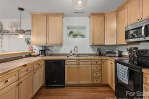 11 KNOTTY ALDER CT, Candler, NC 28715 - Photo 9