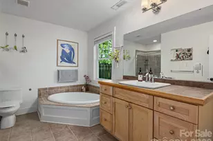11 KNOTTY ALDER CT, Candler, NC 28715 - Photo 13