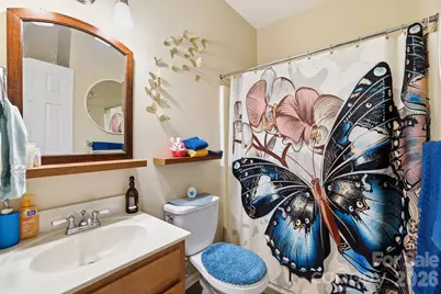 9243 Ladson Road, Fort Mill, SC 29707 - Photo 19
