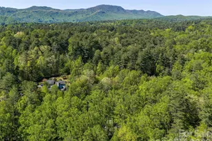 30 Kanuga Heights Ln, Hendersonville, NC 28739 - Photo 39