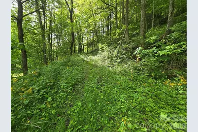 99999 Roaring Fork Road, Mars Hill, NC 28754 - Photo 13
