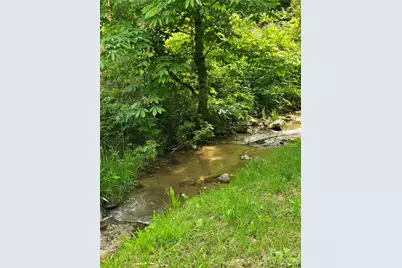 99999 Roaring Fork Road, Mars Hill, NC 28754 - Photo 5