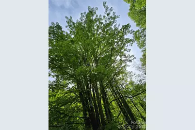 99999 Roaring Fork Road, Mars Hill, NC 28754 - Photo 3