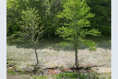 99999 Roaring Fork Road, Mars Hill, NC 28754 - Photo 11