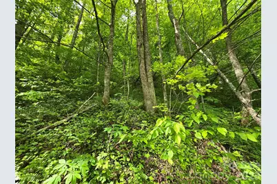 99999 Roaring Fork Road, Mars Hill, NC 28754 - Photo 17