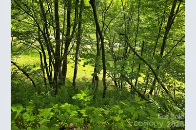 99999 Roaring Fork Road, Mars Hill, NC 28754 - Photo 15