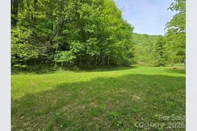 99999 Roaring Fork Road, Mars Hill, NC 28754 - Photo 7