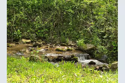99999 Roaring Fork Road, Mars Hill, NC 28754 - Photo 1