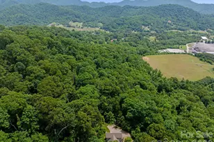 174 Deep Woods Trail, Canton, NC 28716 - Photo 43