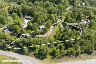 23 Lela Ln, Alexander, NC 28701 - Photo 29
