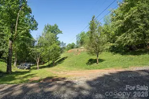 23 Lela Ln, Alexander, NC 28701 - Photo 27