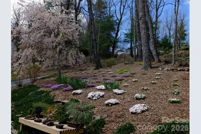 258 Dalhousie Court, Flat Rock, NC 28731 - Photo 5