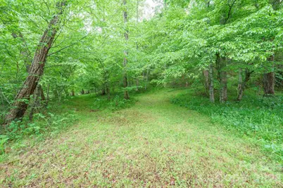 2517 Horseshoe Road, Westfield, NC 27053 - Photo 39