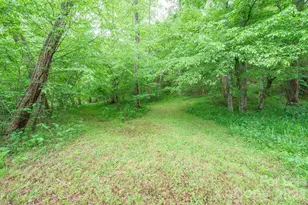 2517 Horseshoe Road, Westfield, NC 27053 - Photo 39