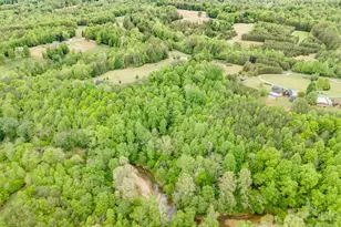 2517 Horseshoe Road, Westfield, NC 27053 - Photo 41