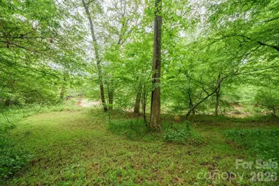 2517 Horseshoe Road, Westfield, NC 27053 - Photo 37